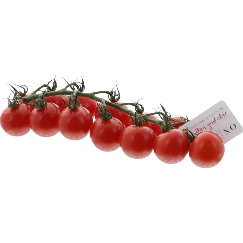 TOMATE CERISE GRAPPE JOUNO 3KG